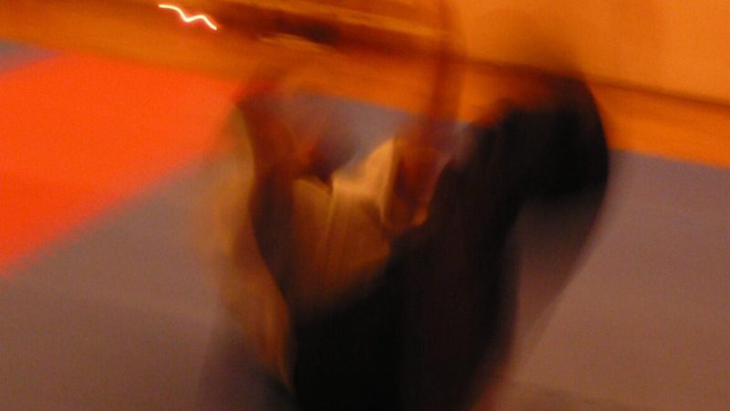 Aikido_orange-©-Claudia-Heu_quer--1160x928